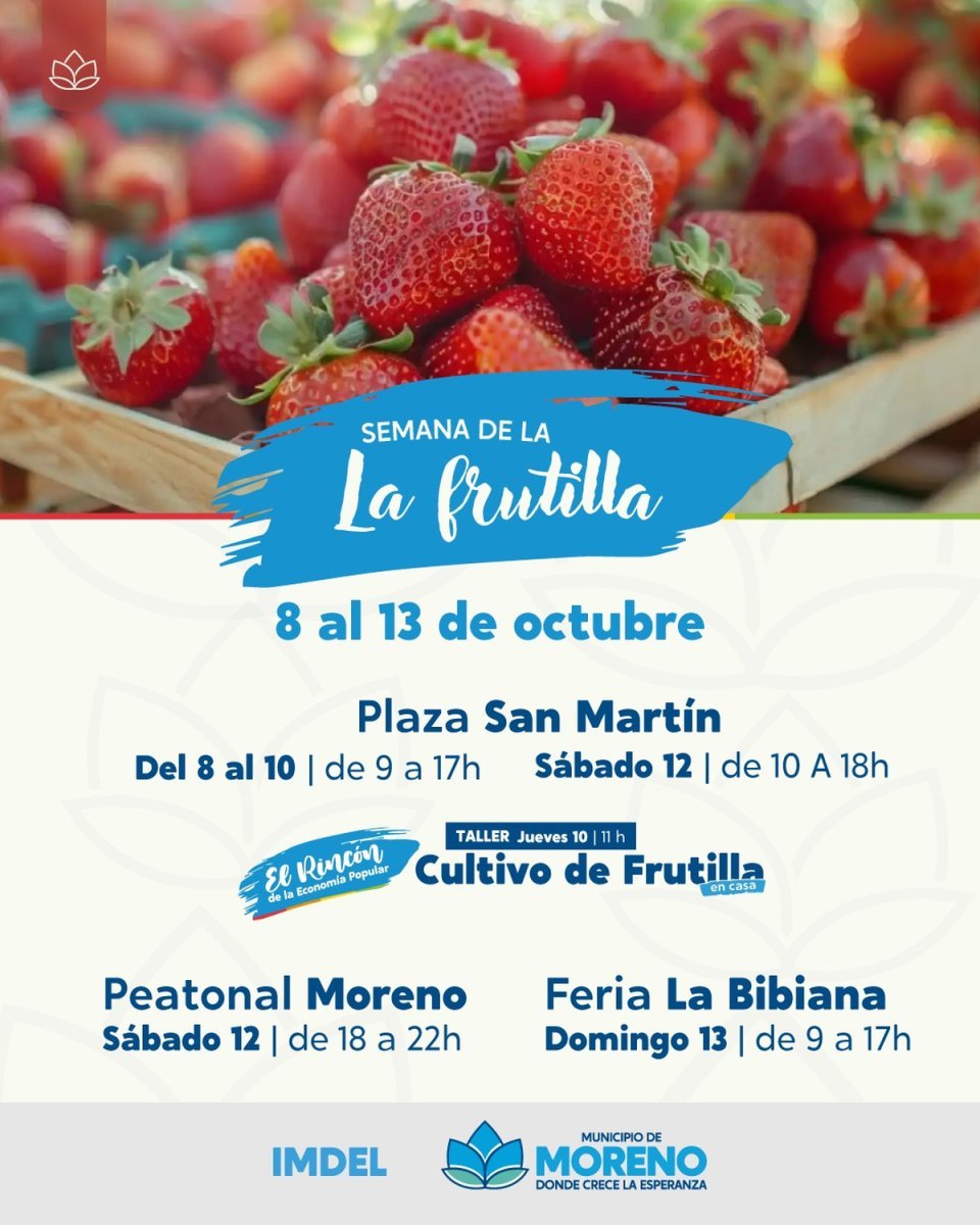 Se viene la Semana de la Frutilla al oeste con precios accesibles.