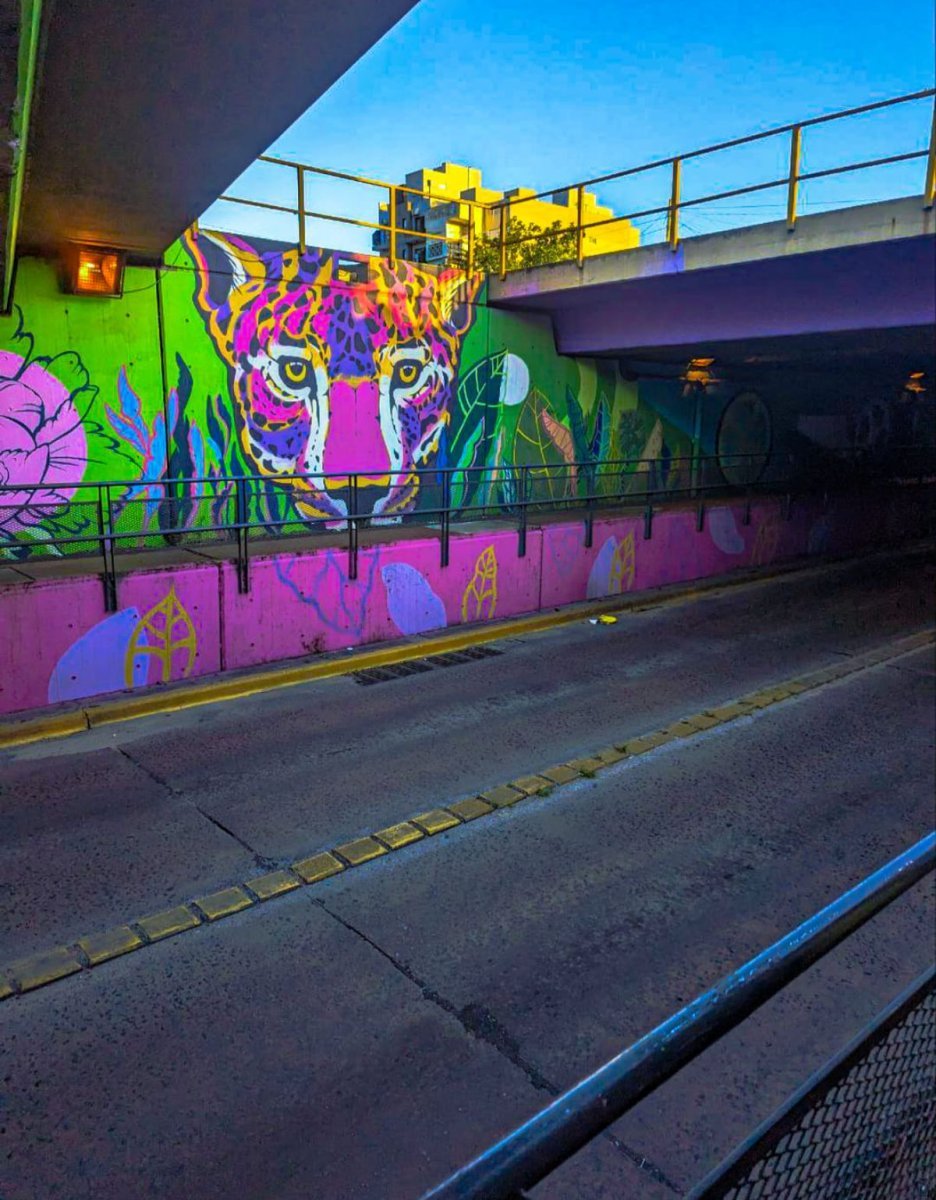 Las fotograf&iacute;as que sac&oacute; Alfonso de Haedo durante su visita.