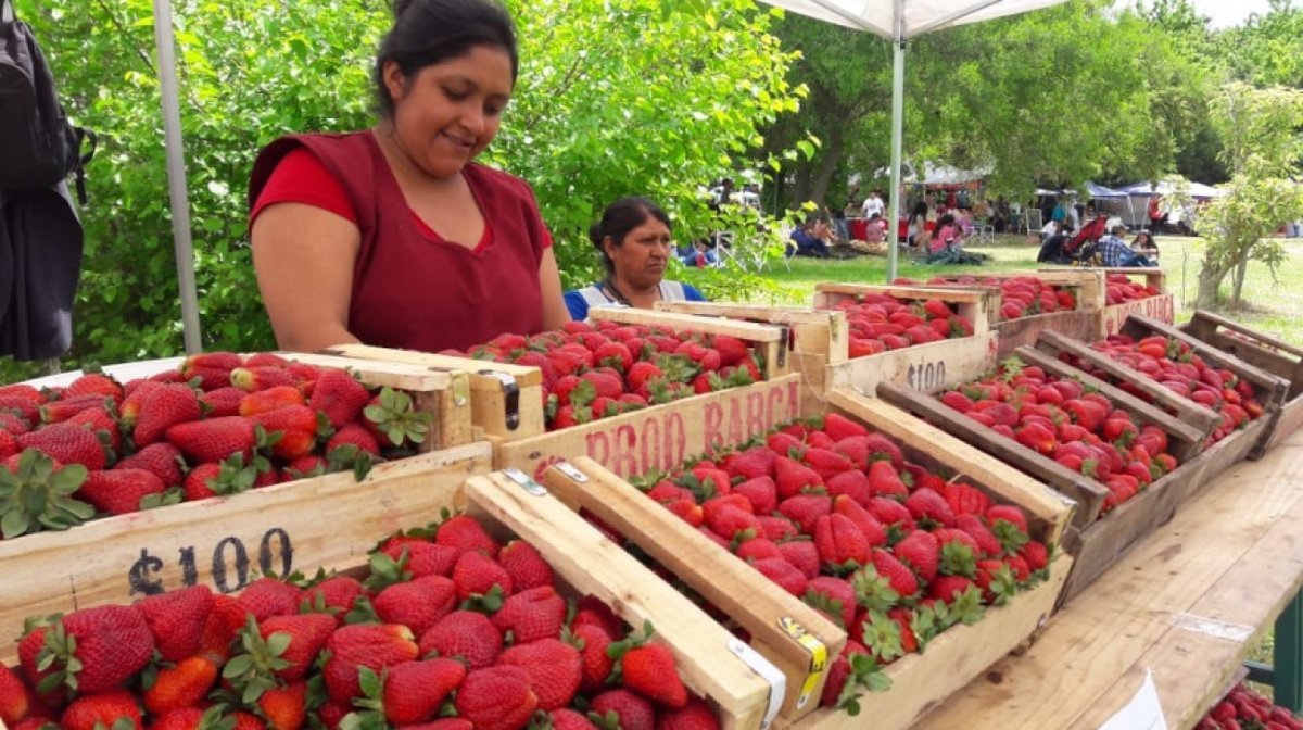 D&oacute;nde encontrar alimentos a precios accesibles en la zona oeste.