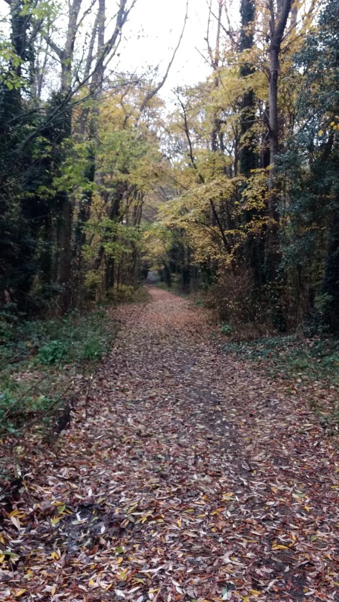 Turismo bonaerense: la ruta ideal para hacer mountain bike y recorrer los paisajes.