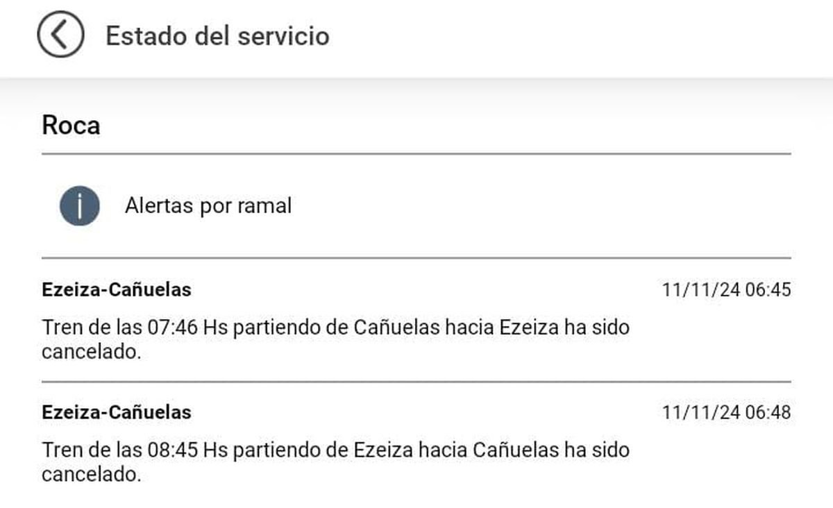 Detalles de c&oacute;mo funciona el Tren Roca.