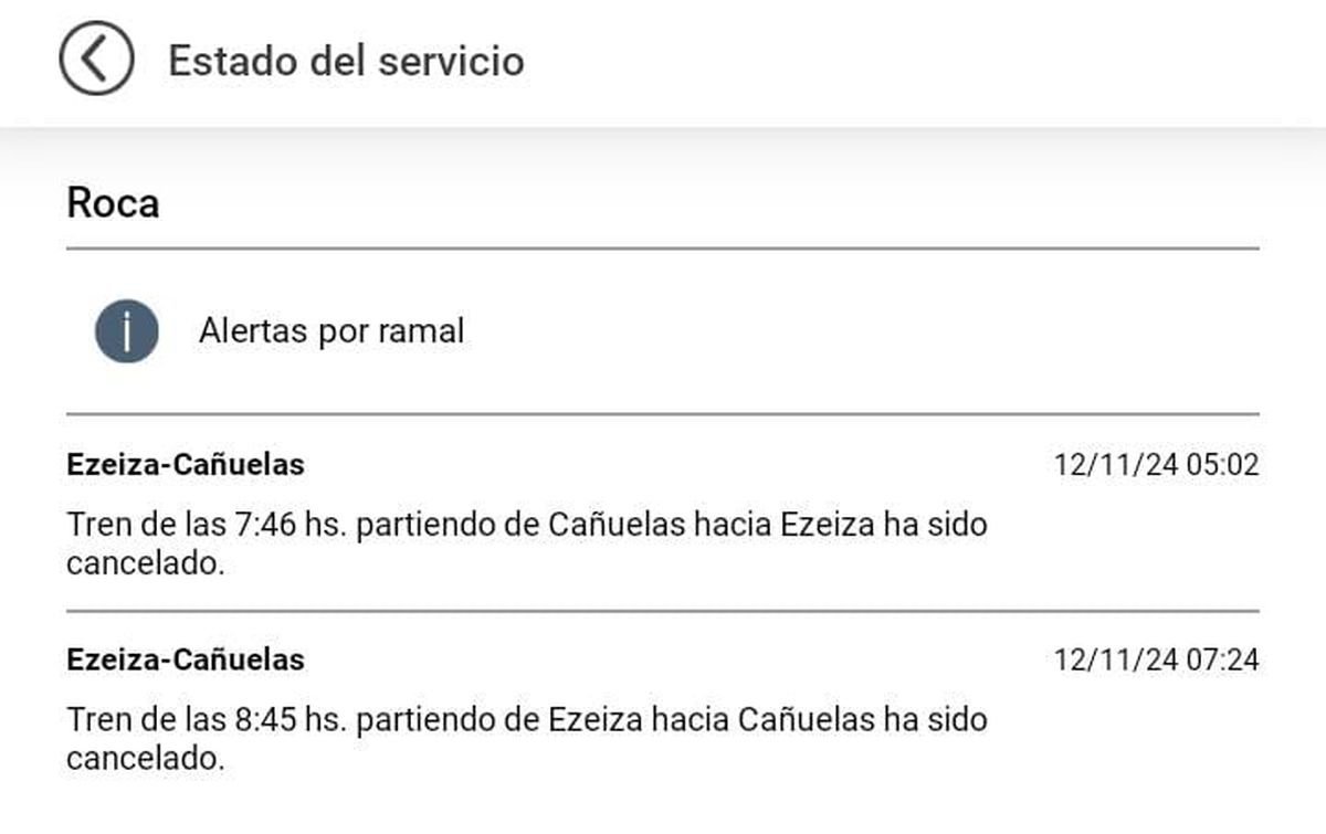 Detalles del funcionamiento del Tren Roca.
