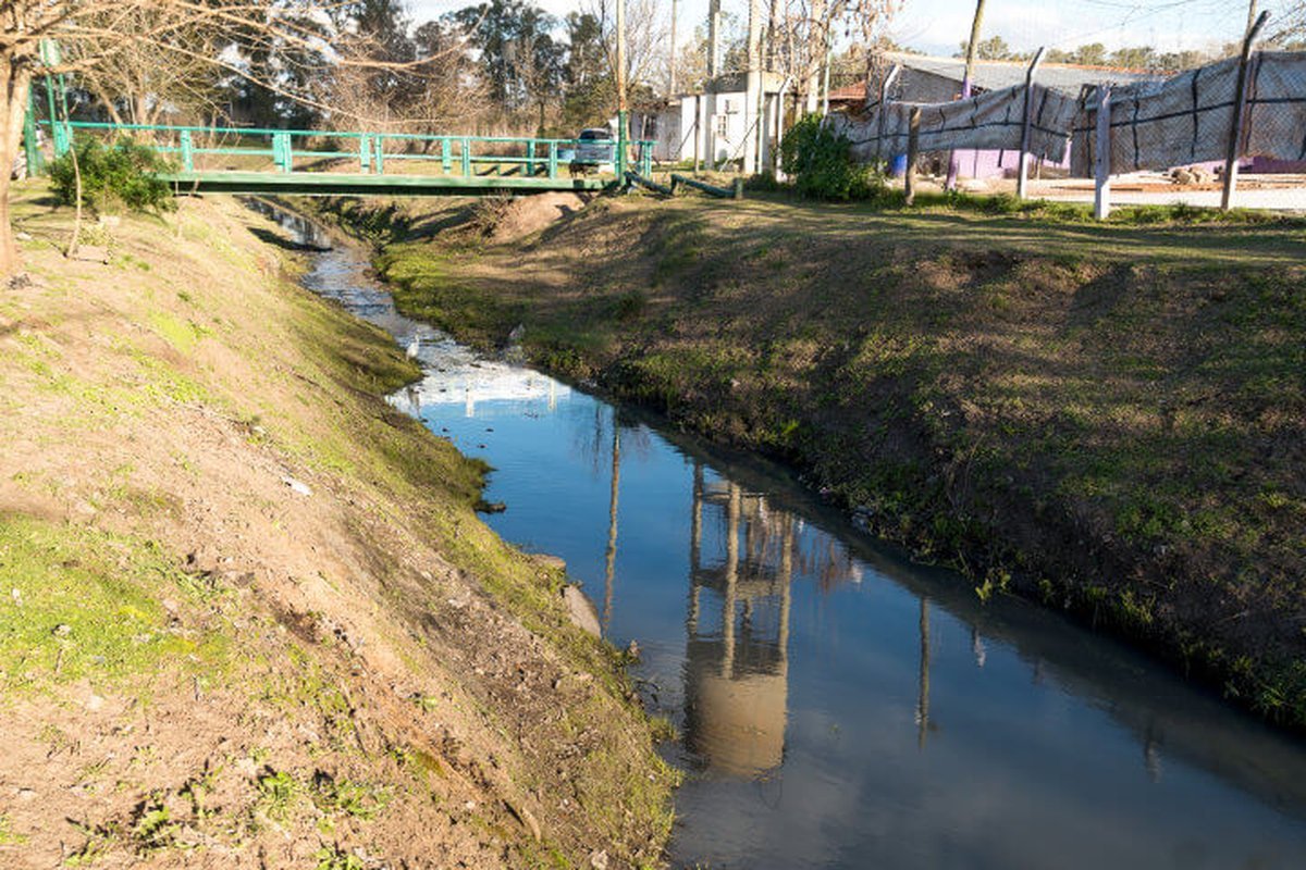 Hurlingham solidario: jornada ambiental y de limpieza en el Arroyo Soto.