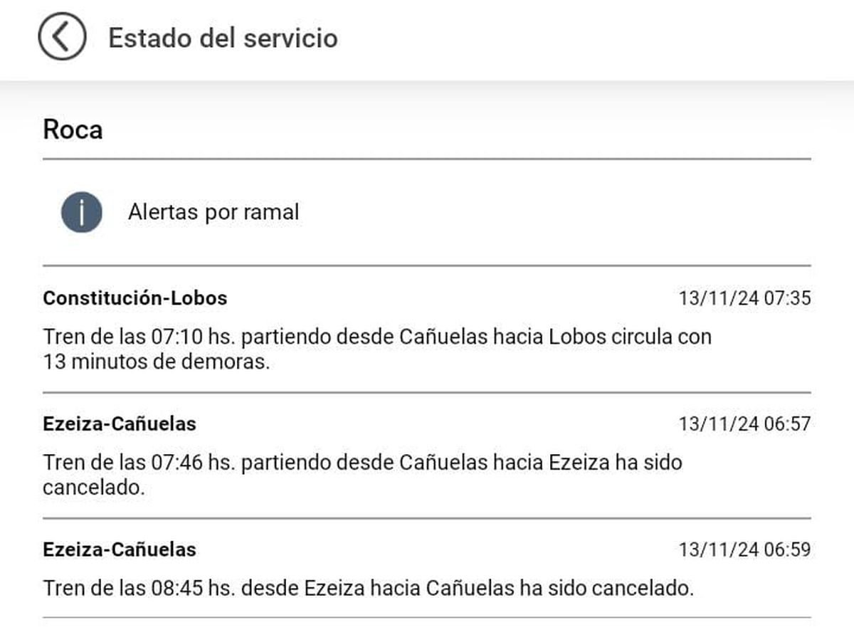 El estado del servicio del Tren Roca.