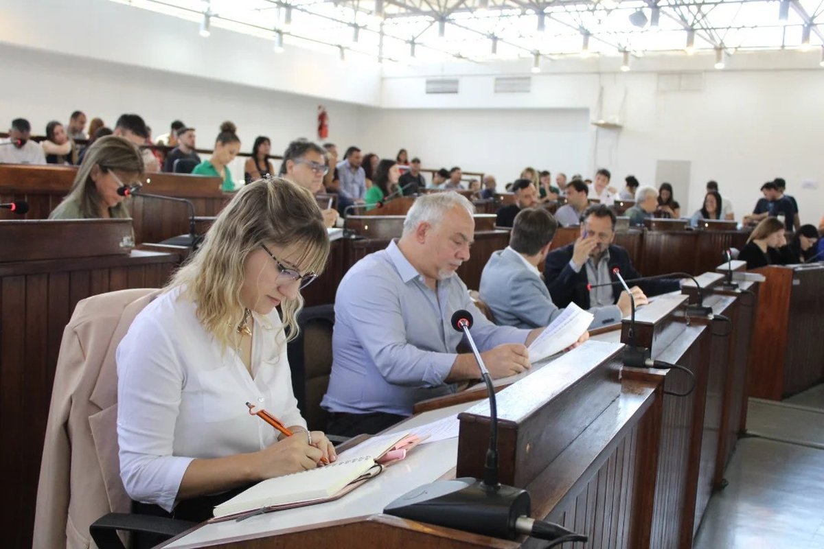 La sesi&oacute;n donde aprobaron la adhesi&oacute;n en Tres de Febrero.