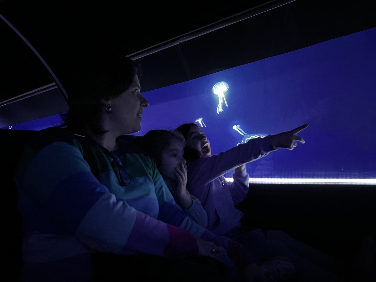 Qu&eacute; es Mundo GEA y porqu&eacute; todas las familias visitan este lugar.