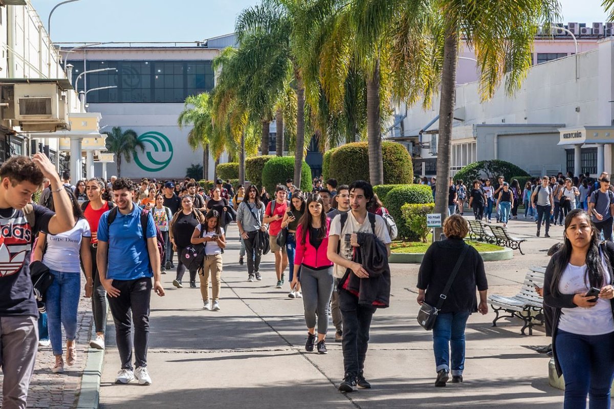 Verano 2025: todas las capacitaciones que ofrece la Universidad Nacional de La Matanza.