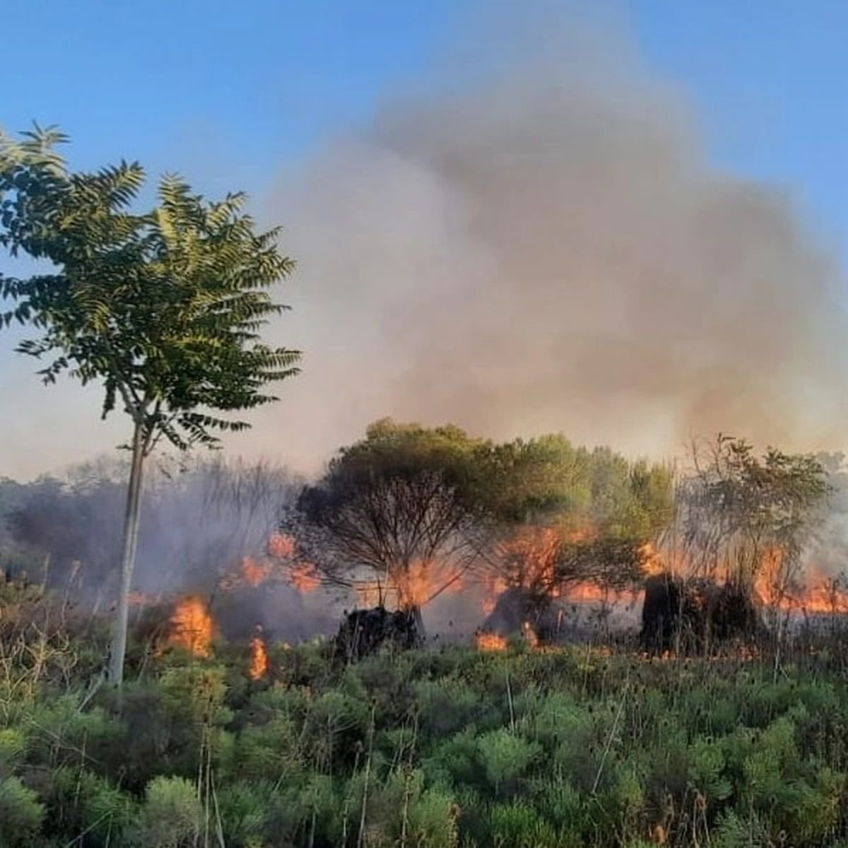 Prevenir incendios en Merlo: la importancia de no prender fuego basura ni pastizales.