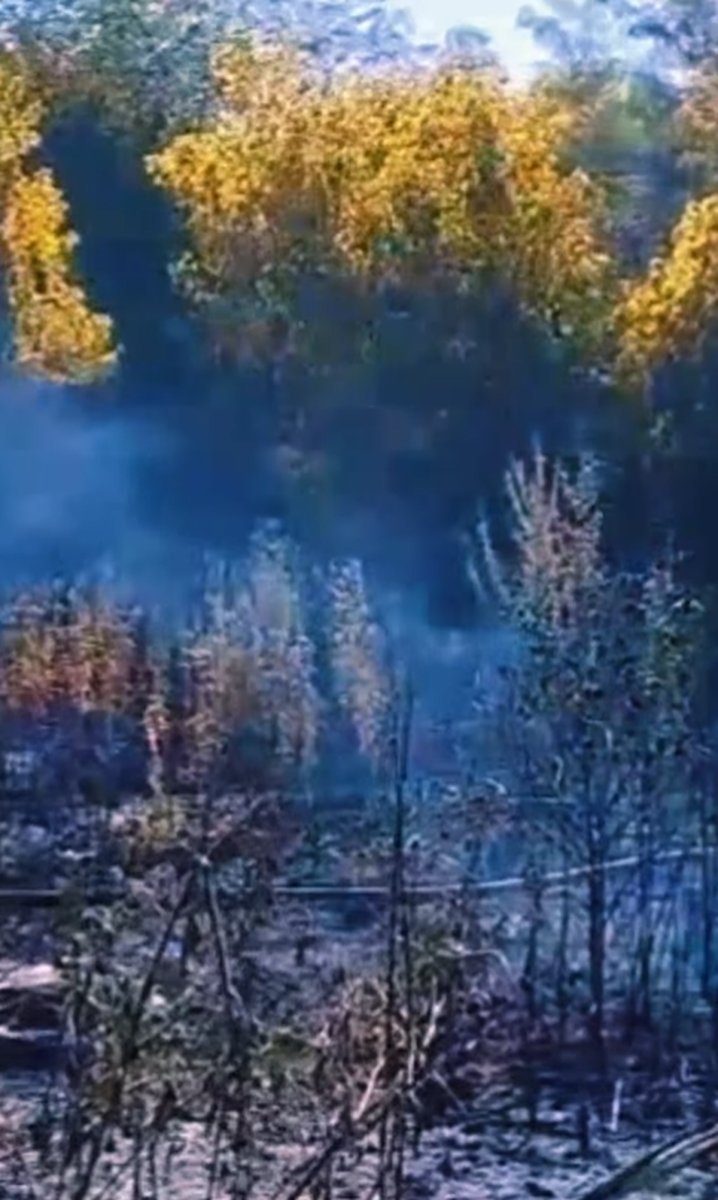 Otro incendio en la Reserva Natural de Ciudad Evita: 