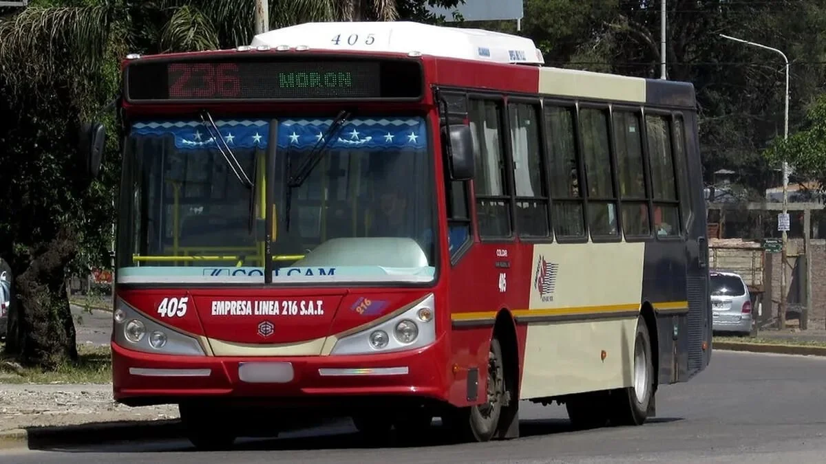 Encontró un celular en el colectivo y lo devolvió: el buen gesto del ...