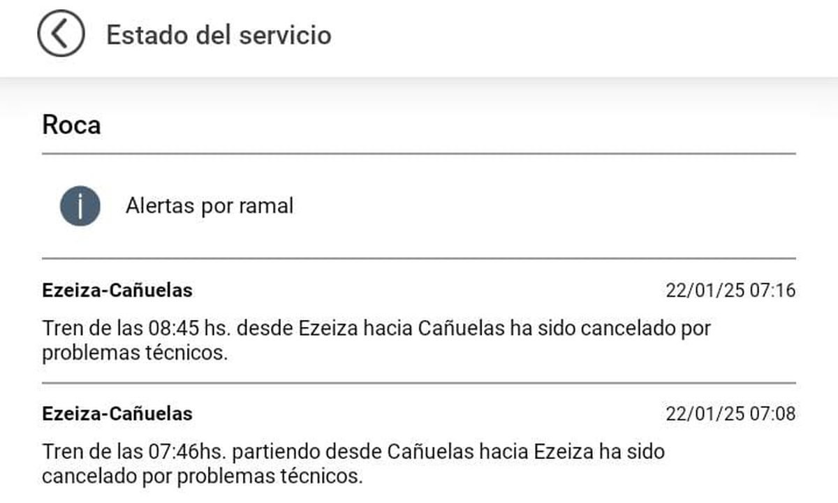 El estado del servicio del Tren Roca.