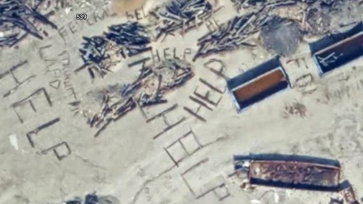 Los mensajes que no tardaron en volverse viral en redes. Foto: Ver.  