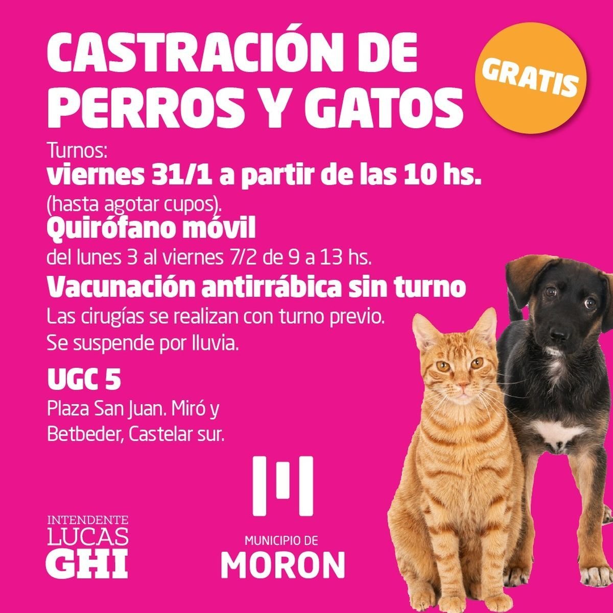 Nuevas jornadas de castraci&oacute;n y vacunaci&oacute;n gratuita en Mor&oacute;n.