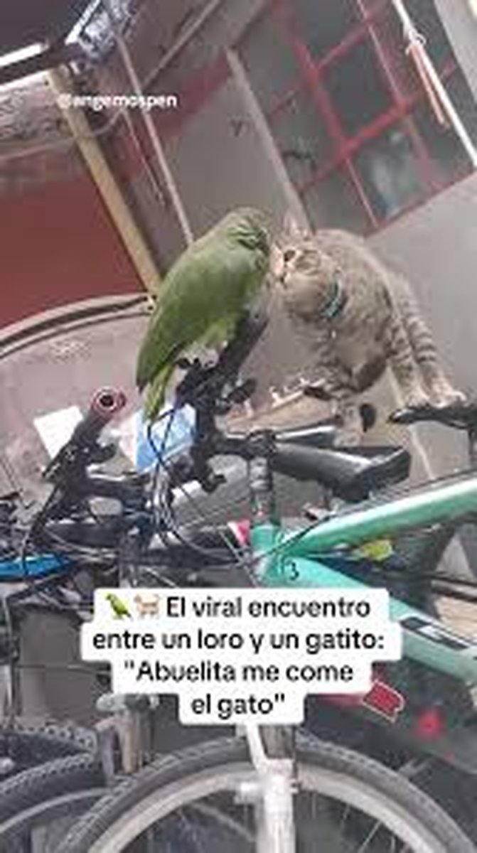 El video que es viral en redes. Foto: Captura.