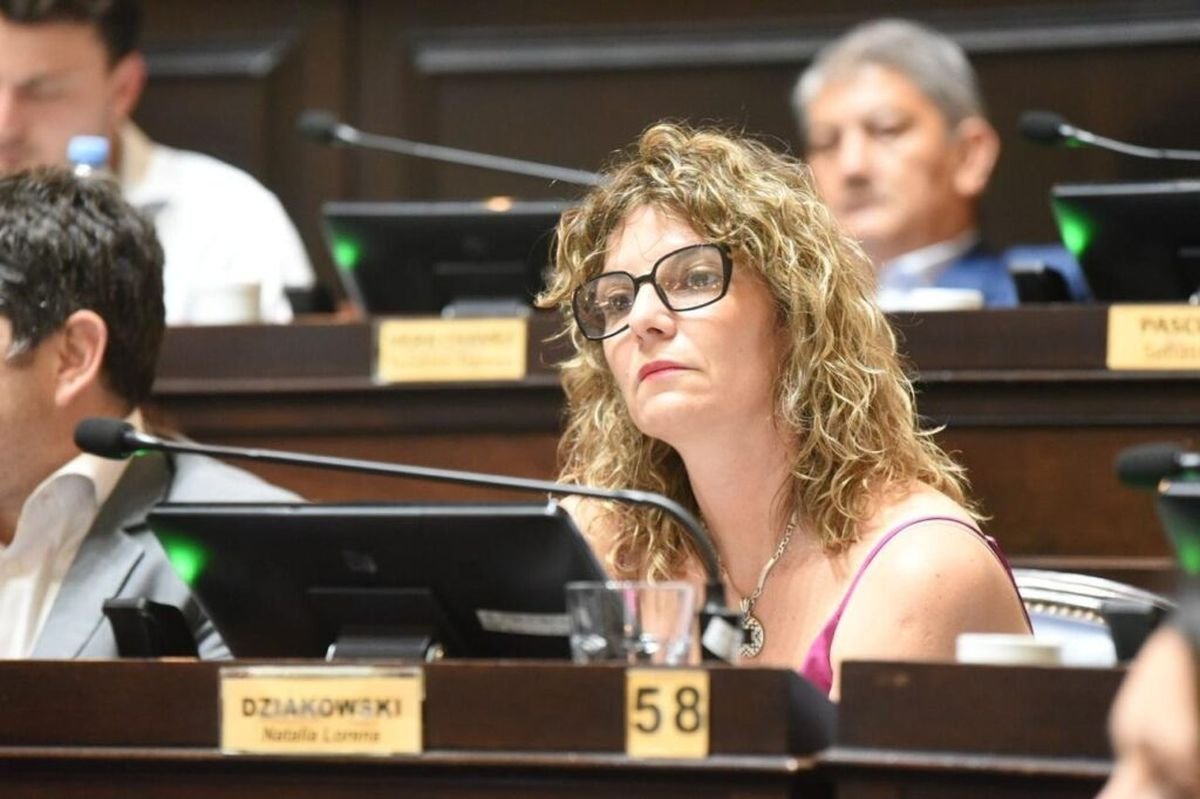 La diputada bonaerense del GEN, Natalia Dziakowski, ingres&oacute; un proyecto para frenar los incrementos en los valores de la VTV.