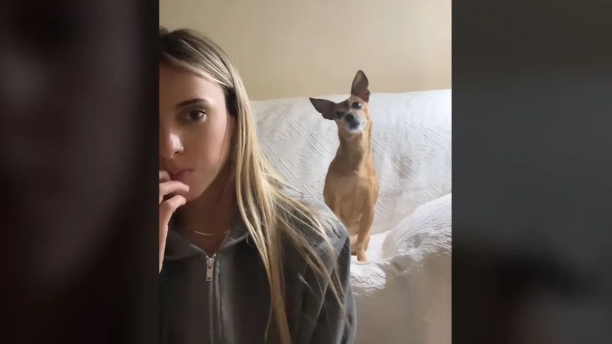 El video de una perrita que no tard&oacute; en volverse viral. Foto: Telecinco.