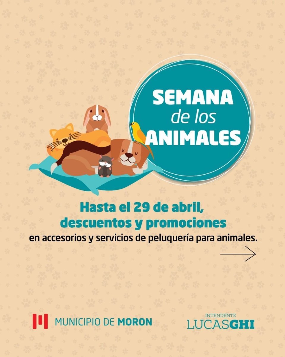 Descuentos en alimentos, accesorios y m&aacute;s en veterinarias de Mor&oacute;n esta semana.