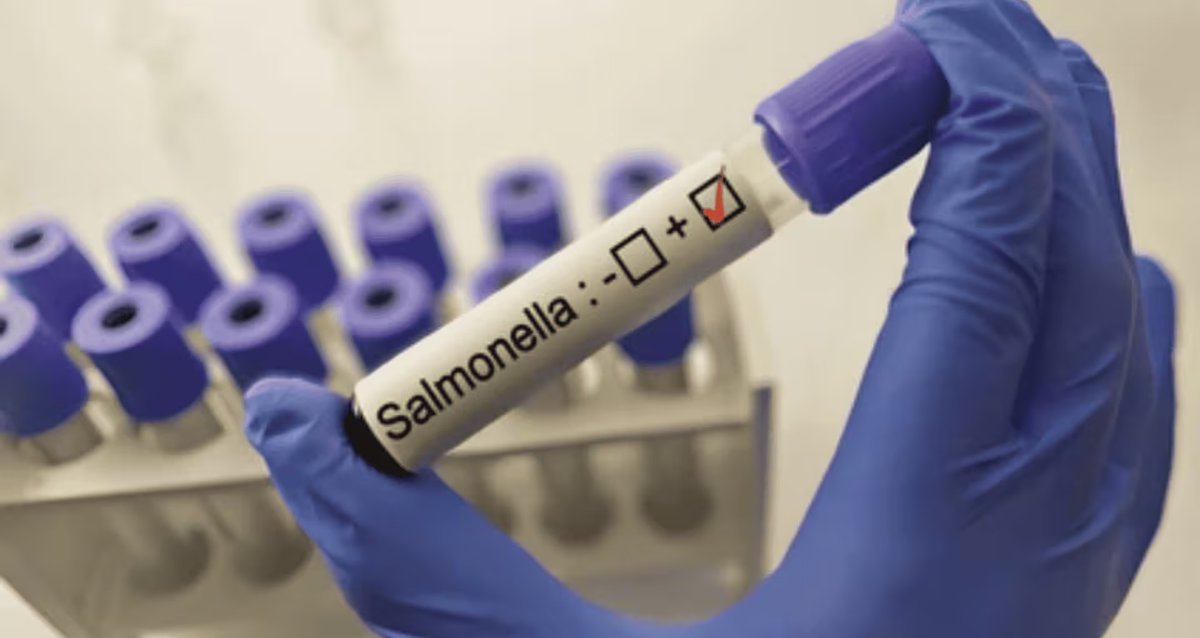 Alertan por un brote de fiebre tifoidea en Provincia.