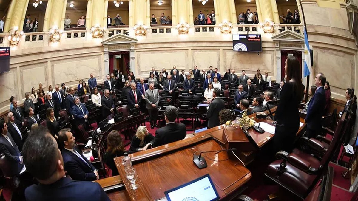 El Senado antes de rechazar el proyecto del Gobierno.