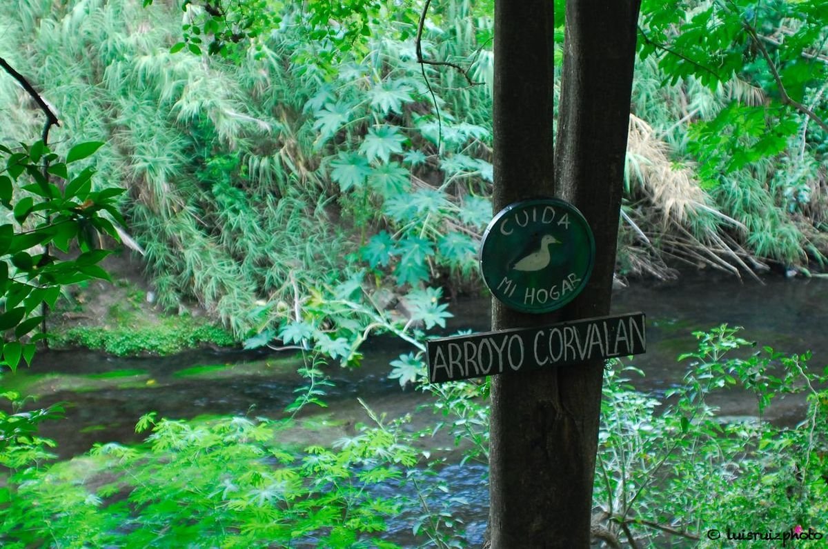 El grupo de amigos de El Palomar que cre&oacute; una ONG para proteger los ambientes naturales.