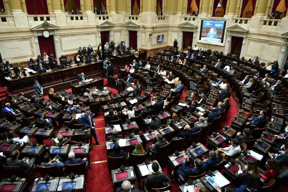 La C&aacute;mara de Diputados aprob&oacute; la ley de emergencia en discapacidad.