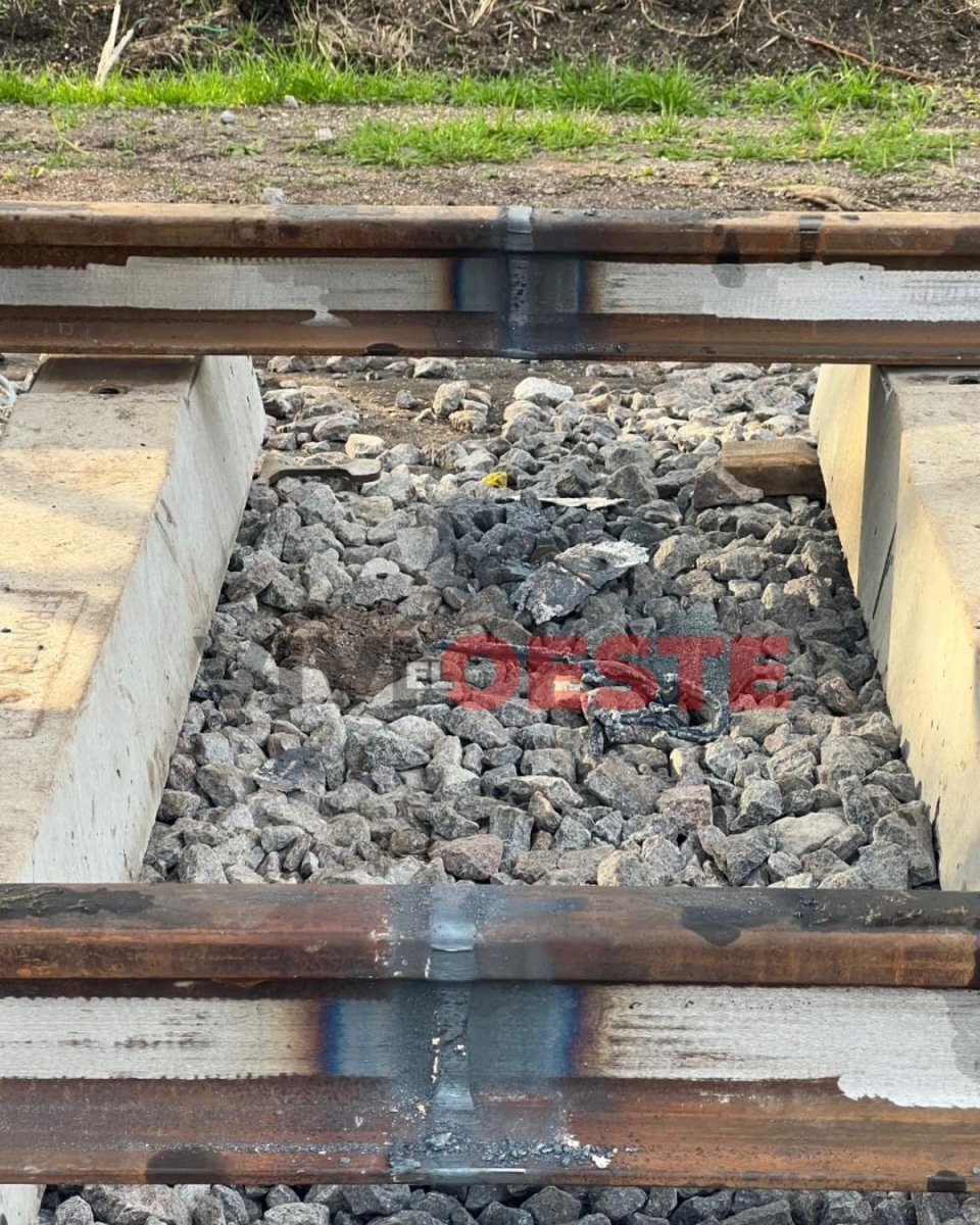 Renovaci&oacute;n de v&iacute;as en Tren Sarmiento