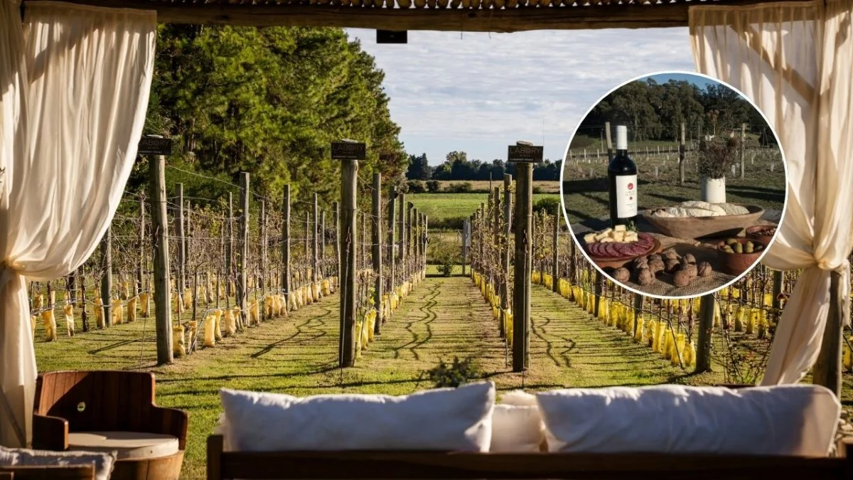 Fin de Semana largo: conoce la Ruta del Vino en la provincia de Buenos Aires | Viví el Oeste